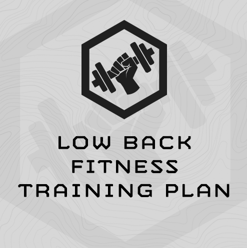 Low Back Fitness Training Program