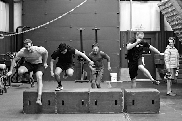 Lab Rats sprinting back on the 2x Shuttle Sprints + Jump over box (20").