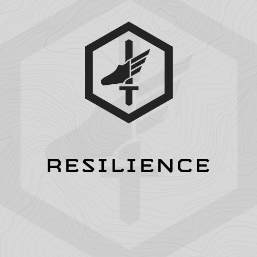 Resilience: Combat Chassis Focus