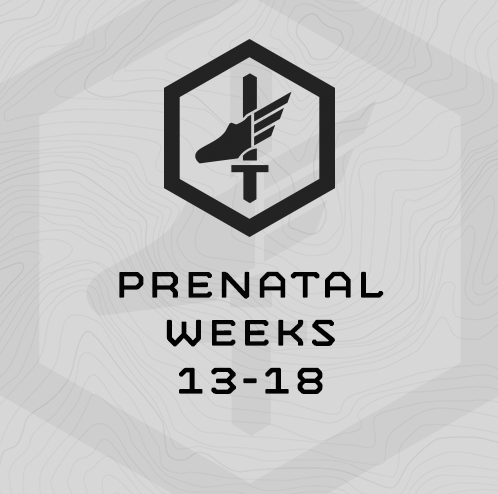 Prenatal Weeks 13-18