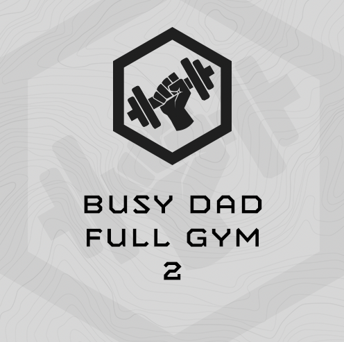 Busy Dad Full Gym 2: Slight Strength & Chassis Integrity Focus w/Concurrent Endurance and Work Capacity