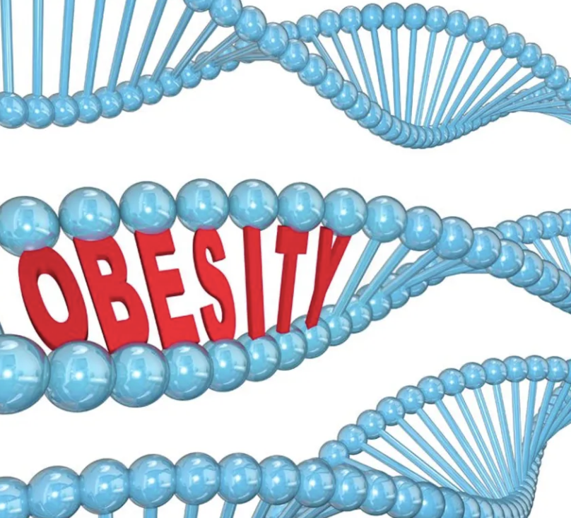 Despite Predispositions, You Still Can’t Blame Your Genes for Being Obese